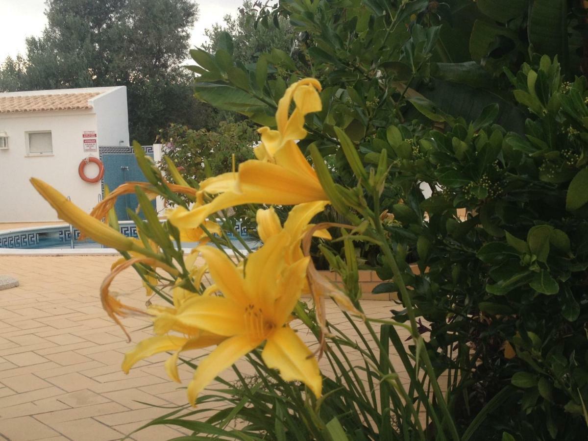 Vilabranco Albufeira Exteriér fotografie